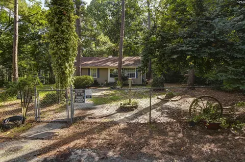 133 Sunset Strip, Elgin, SC 29045 photo 2