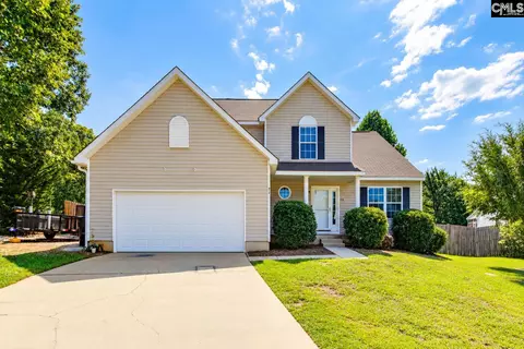 316 Turkey Beard Ct, Chapin, SC 29036