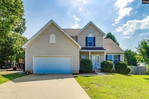 316 Turkey Beard Ct, Chapin, SC 29036