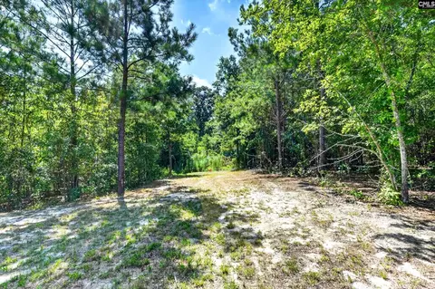 Exterior - 2215 Porter Rd, Cassatt, SC 29032 photo 8 of 9
