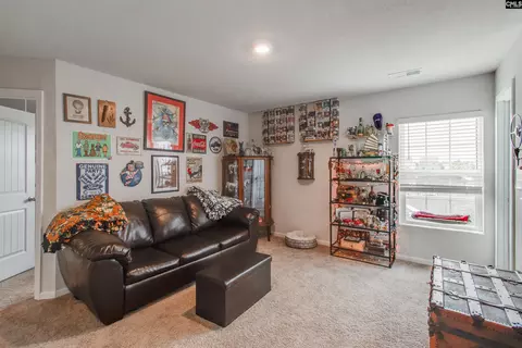 Other - 803 Red Berry Ln, Gilbert, SC 29054 photo 7 of 8