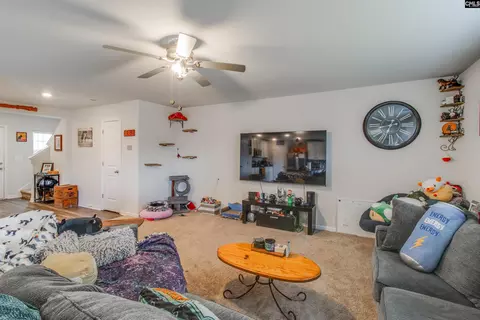 Other - 803 Red Berry Ln, Gilbert, SC 29054 photo 3 of 8