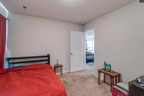 Bedroom - 803 Red Berry Ln, Gilbert, SC 29054 photo 7 of 7