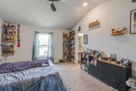 Bedroom - 803 Red Berry Ln, Gilbert, SC 29054 photo 1 of 7
