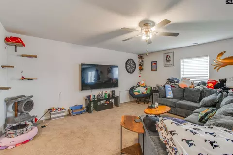 Other - 803 Red Berry Ln, Gilbert, SC 29054 photo 2 of 8