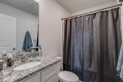 Bath - 803 Red Berry Ln, Gilbert, SC 29054 photo 4 of 4