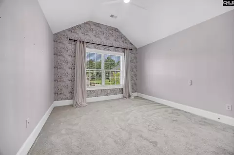 717 Broad Leaf Dr, Elgin, SC 29045 photo 39