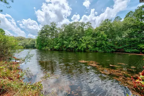 204 Sapphire Gem Ln, Elgin, SC 29045