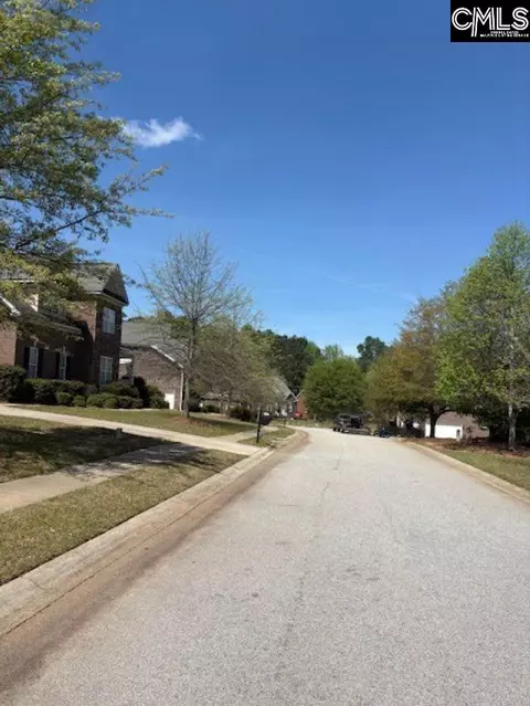 View/Area - 108 Black Walnut Dr, Lexington, SC 29072 photo 1 of 1