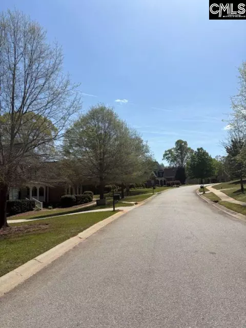 Other - 108 Black Walnut Dr, Lexington, SC 29072 photo 7 of 7
