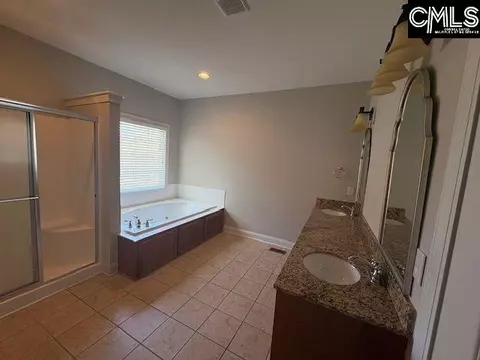 Other - 108 Black Walnut Dr, Lexington, SC 29072 photo 4 of 7