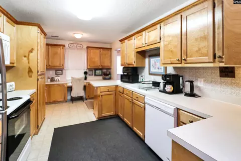 46 Cobblestone Ln, Elgin, SC 29045 photo 9