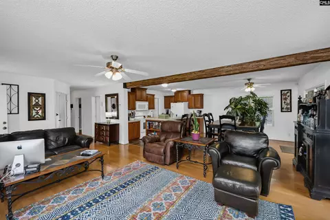 447 Payes Pt, Leesville, SC 29070 photo 6