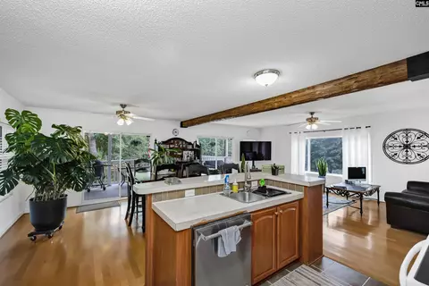 447 Payes Pt, Leesville, SC 29070 photo 9