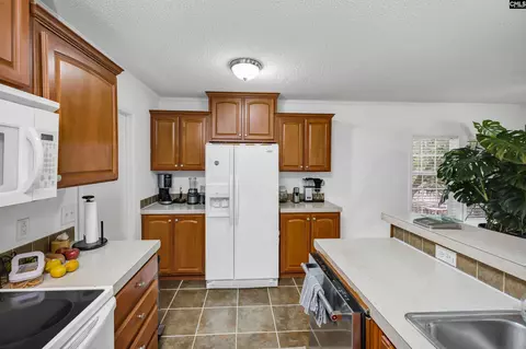 447 Payes Pt, Leesville, SC 29070 photo 11