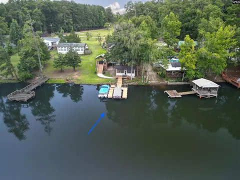 447 Payes Pt, Leesville, SC 29070 photo 62