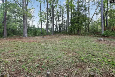 Exterior - 1454 Fork Ave, Irmo, SC 29063 photo 9 of 9