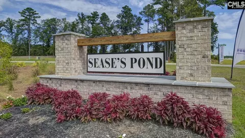 170 Ruby Prince Rd, Gilbert, SC 29054 photo 38