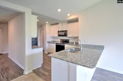 Entry Way - 289 Common Reed Dr, Gilbert, SC 29054 photo 1 of 6
