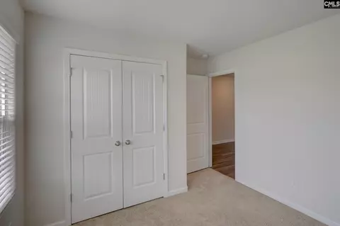 Other - 289 Common Reed Dr, Gilbert, SC 29054 photo 7 of 10
