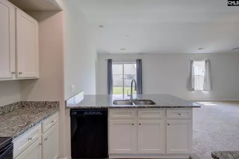 Other - 289 Common Reed Dr, Gilbert, SC 29054 photo 2 of 10