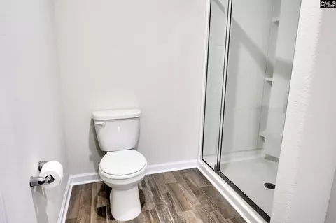 Bath - 289 Common Reed Dr, Gilbert, SC 29054 photo 1 of 4