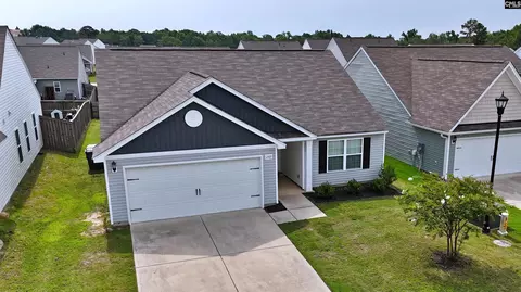 View/Area - 289 Common Reed Dr, Gilbert, SC 29054 photo 2 of 4