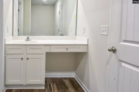 Entry Way - 289 Common Reed Dr, Gilbert, SC 29054 photo 4 of 6