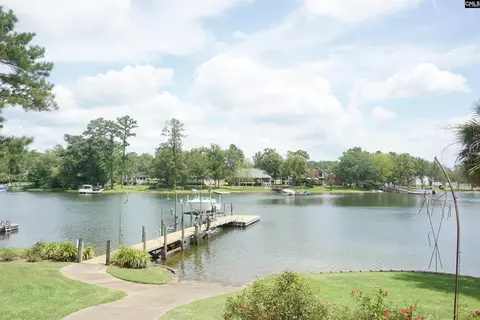 View/Area - 218 Lakeshore Dr, Leesville, SC 29070 photo 4 of 4
