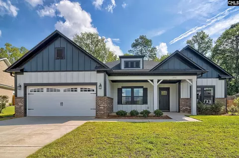 256 Murray Falls Ln, Chapin, SC 29036