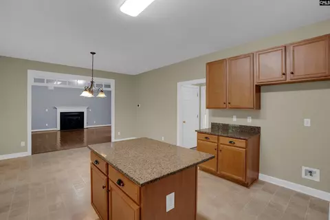 Other - 205 Winterberry Loop, Lexington, SC 29072 photo 9 of 15