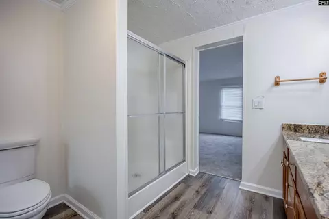 584 Railgate Loop, Lugoff, SC 29078 photo 31