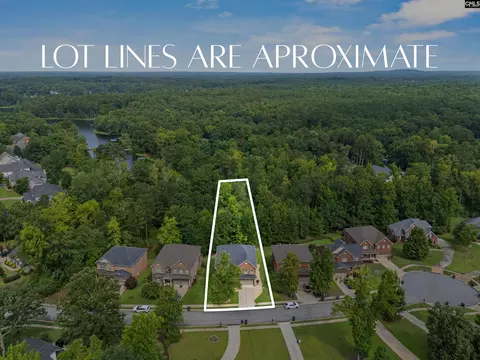 View/Area - 357 Bent Oak Dr, Chapin, SC 29036 photo 1 of 6