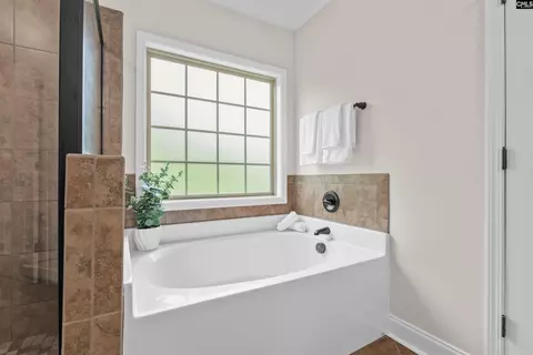 Bath - 357 Bent Oak Dr, Chapin, SC 29036 photo 3 of 5