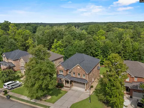 View/Area - 357 Bent Oak Dr, Chapin, SC 29036 photo 5 of 6