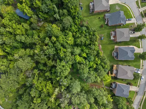 View/Area - 357 Bent Oak Dr, Chapin, SC 29036 photo 6 of 6