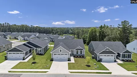View/Area - 365 Switch Grass Ct, Elgin, SC 29045 photo 1 of 3