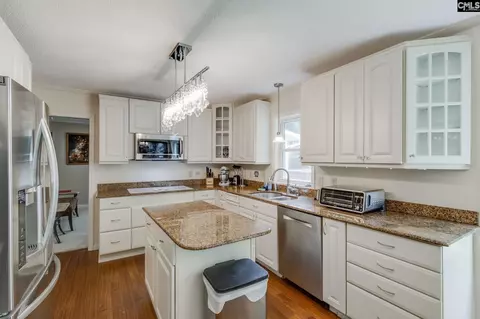 445 Lakemont Dr, Chapin, SC 29036