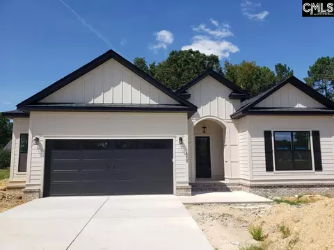 858 Elms Spinney Ln, Chapin, SC 29036