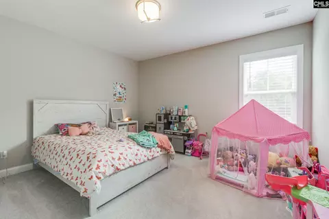 Bedroom - 209 Sapphire Gem Ln, Elgin, SC 29045 photo 5 of 7