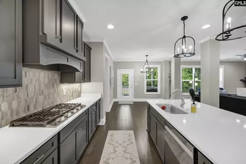 Other - 58 Sweetspire Dr, Elgin, SC 29045 photo 2 of 5