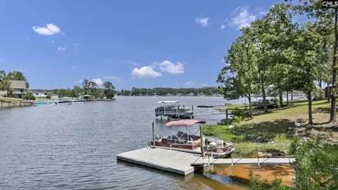 View/Area - 173 Blueback Dr, Leesville, SC 29070 photo 2 of 10