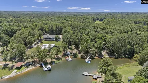 View/Area - 173 Blueback Dr, Leesville, SC 29070 photo 6 of 10