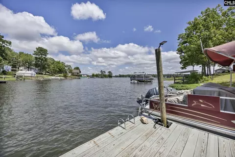 View/Area - 173 Blueback Dr, Leesville, SC 29070 photo 3 of 10