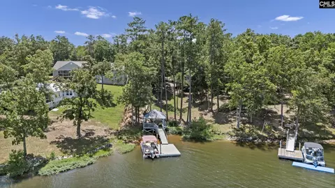 View/Area - 173 Blueback Dr, Leesville, SC 29070 photo 5 of 10