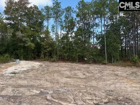 991 Ben Franklin Rd, Gilbert, SC 29054 photo 20