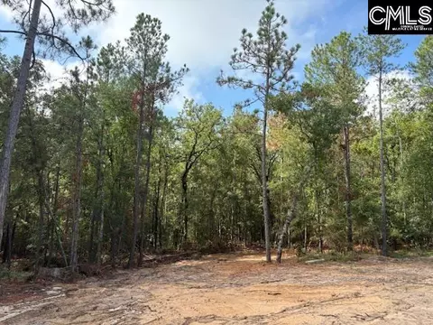 991 Ben Franklin Rd, Gilbert, SC 29054 photo 19