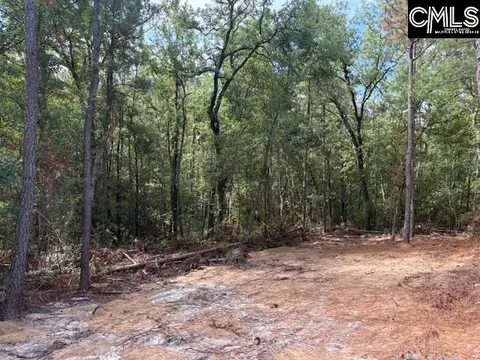 991 Ben Franklin Rd, Gilbert, SC 29054 photo 18