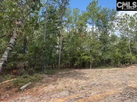 991 Ben Franklin Rd, Gilbert, SC 29054 photo 17