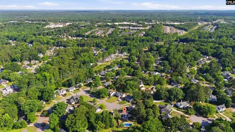 View/Area - 216 Puller Ct, Lexington, SC 29072 photo 4 of 5